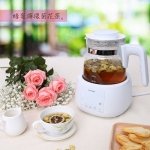 【THOMSON】智能溫控玻璃養生壺 TM-SAK35：圖片 13