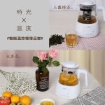 【THOMSON】智能溫控玻璃養生壺 TM-SAK35：圖片 14