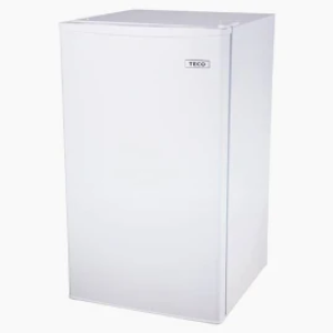 TECO 東元99公升 一級能效單門小冰箱 R1091W